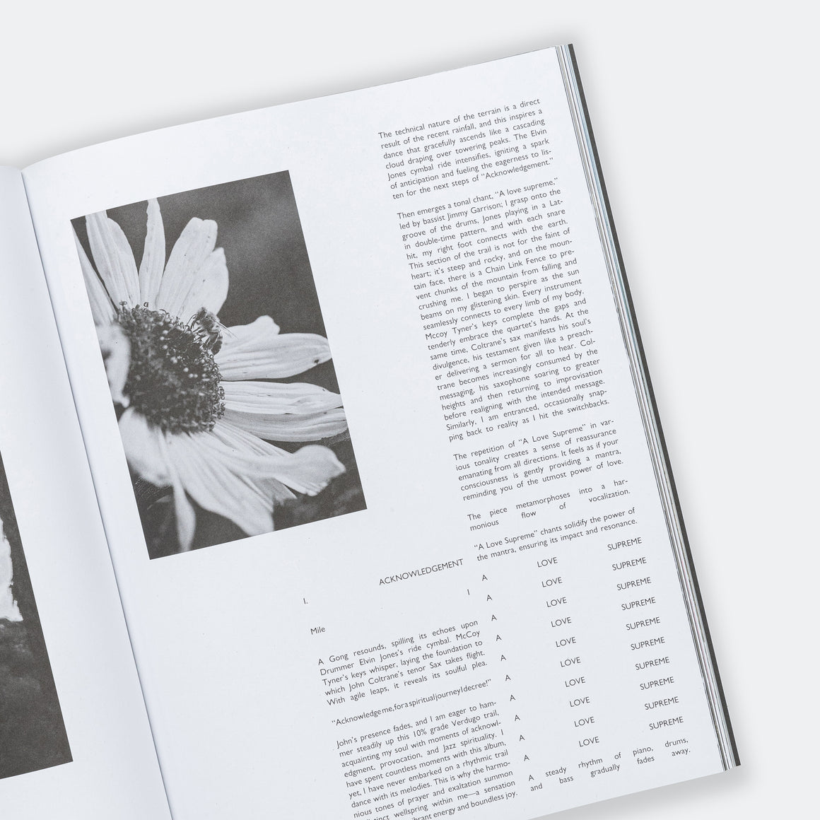 Amateurs - Amateurs Magazine Issue #2 - Up There Athletics