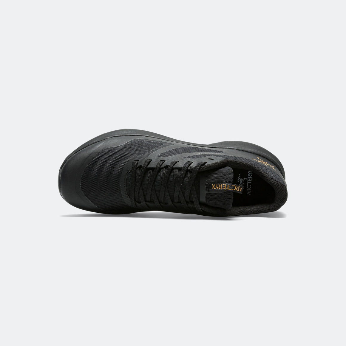 Arc'Teryx - Mens Norvan LD 3 - Black/Black - Up There Athletics