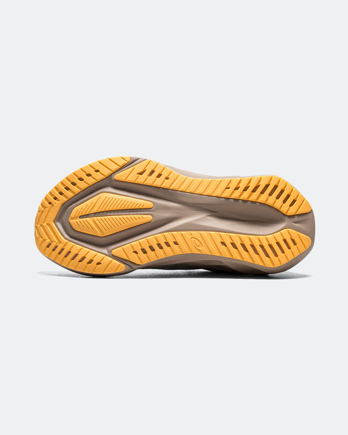 Asics - Womens Novablast 5 - White/Fawn - Up There Athletics