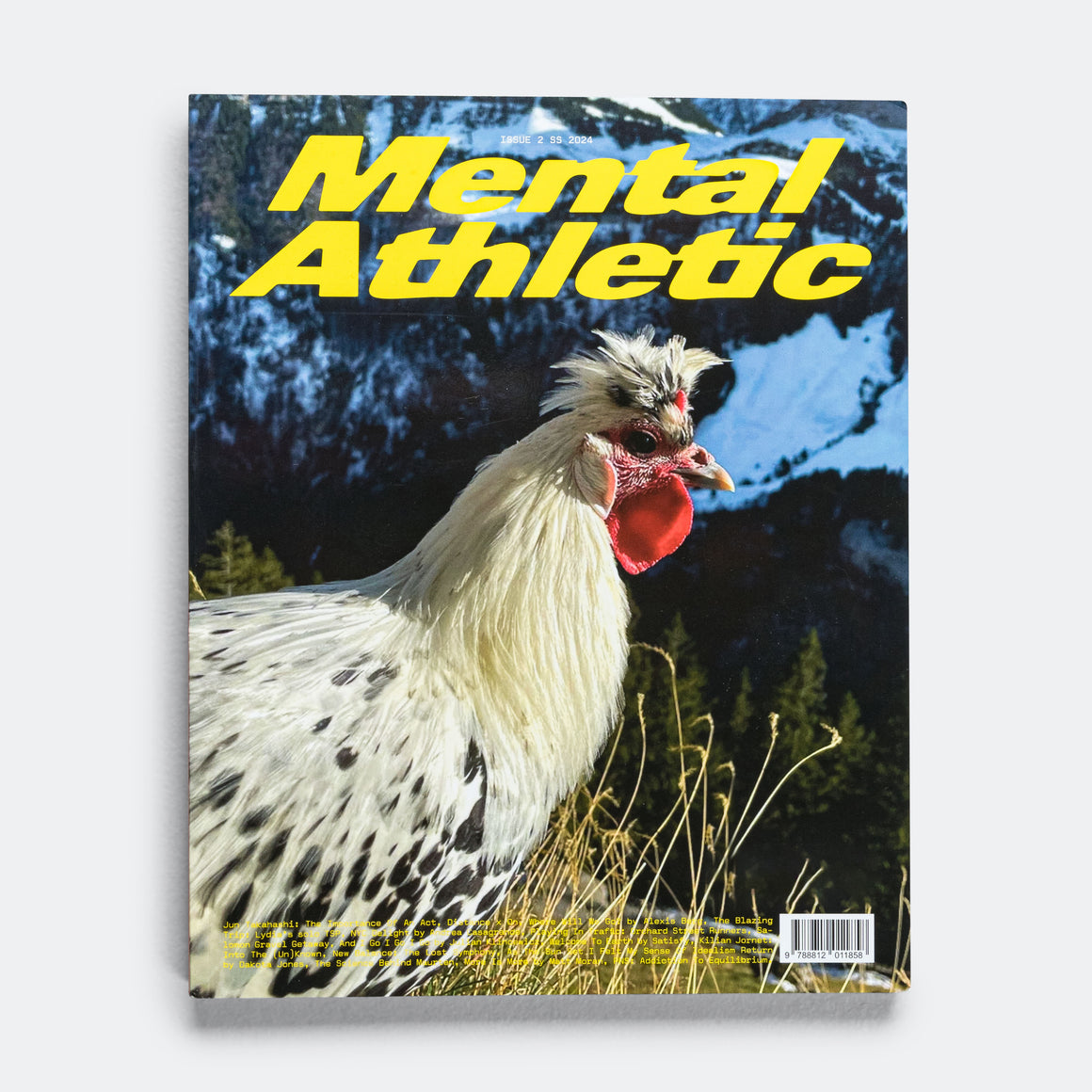 Mental Athletic - Issue N2 Cover 5 - Up There Athletics