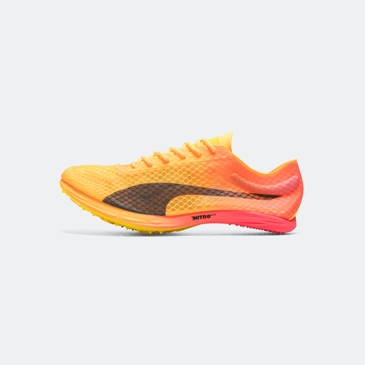 Puma - evoSPEED Distance NITRO Elite+ 4 - Sun Stream - Up There Athletics