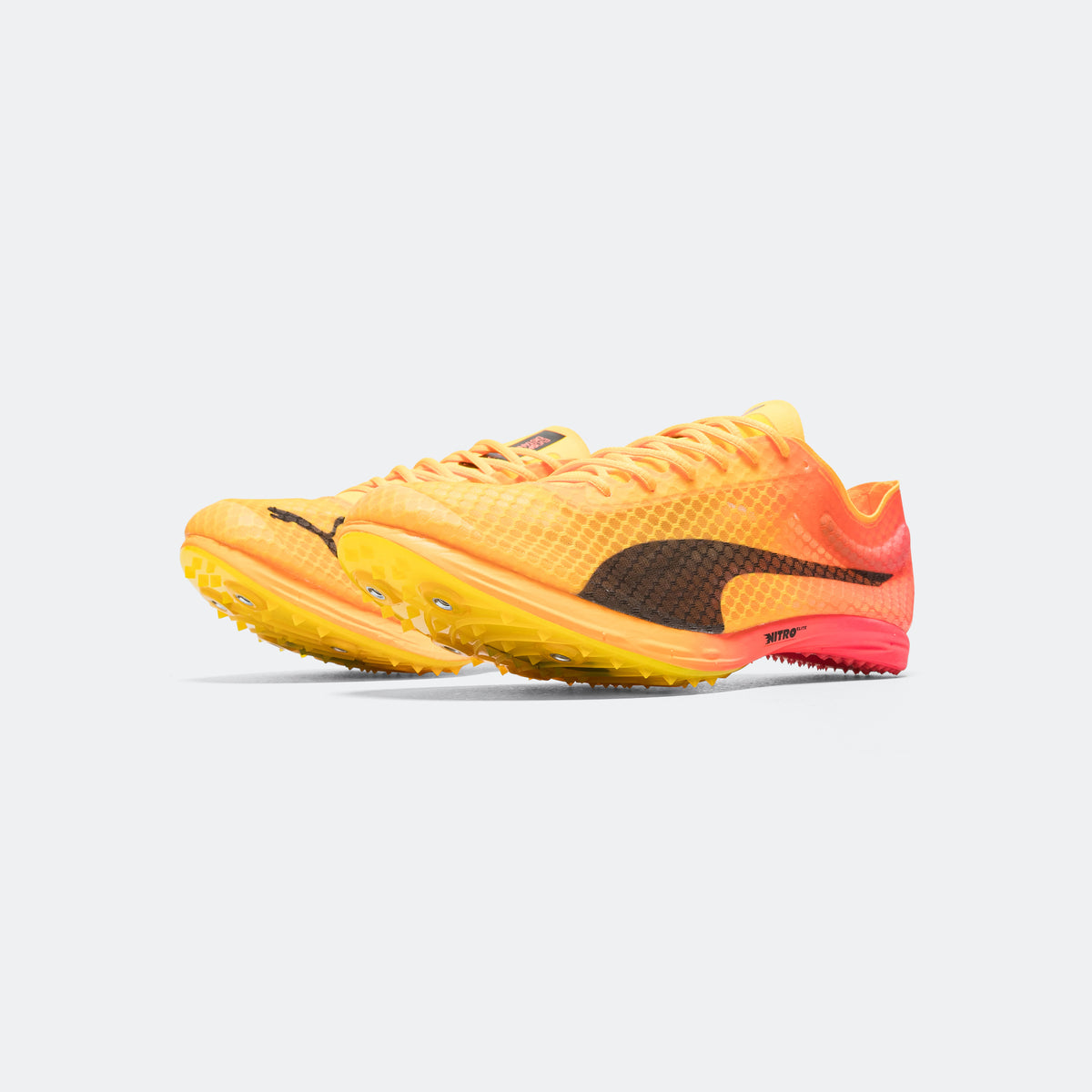 Puma - evoSPEED Distance NITRO Elite+ 4 - Sun Stream | Up There