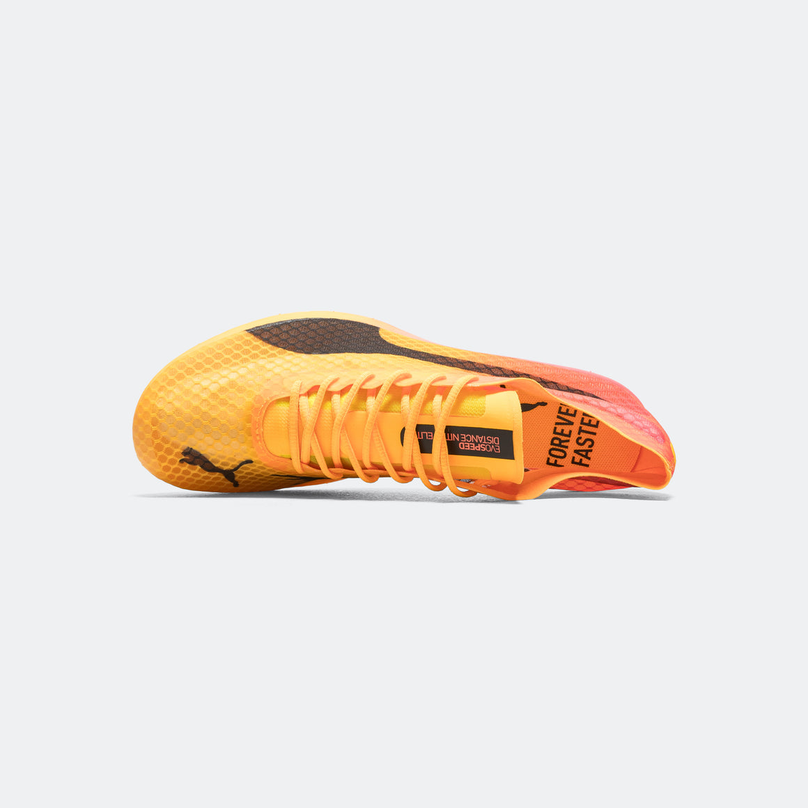 Puma - evoSPEED Distance NITRO Elite+ 4 - Sun Stream - Up There Athletics