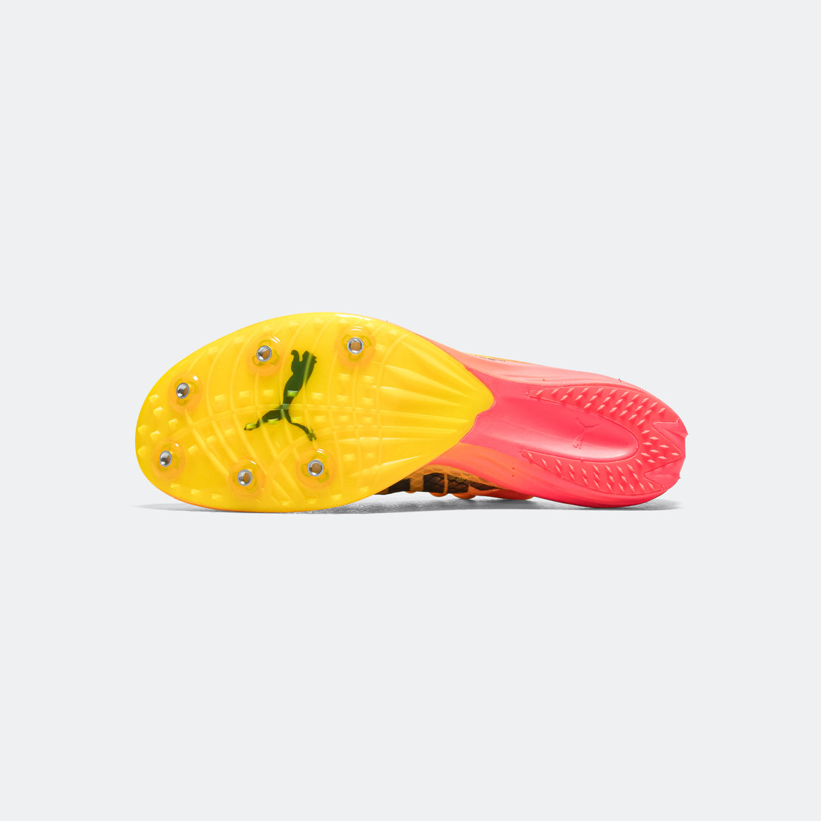 Puma - evoSPEED Distance NITRO Elite+ 4 - Sun Stream - Up There Athletics