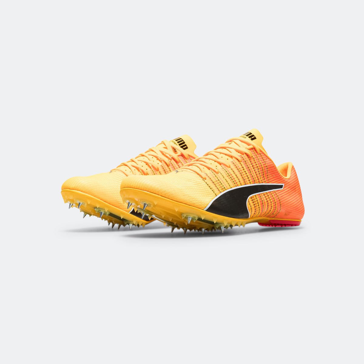 Puma Brush 6 Spike Uni Sunstream M11.5/W13.0