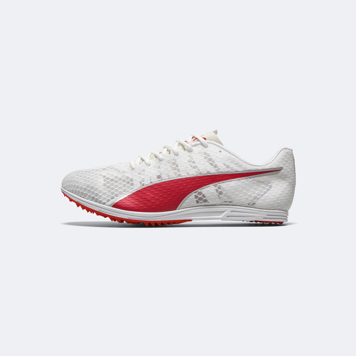 Puma - evoSPEED Distance 11 - White - Up There Athletics