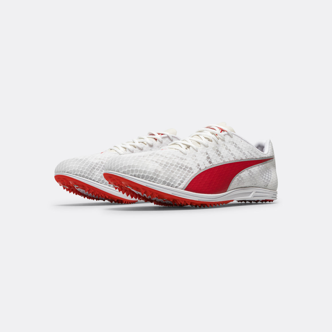 Puma - evoSPEED Distance 11 - White - Up There Athletics