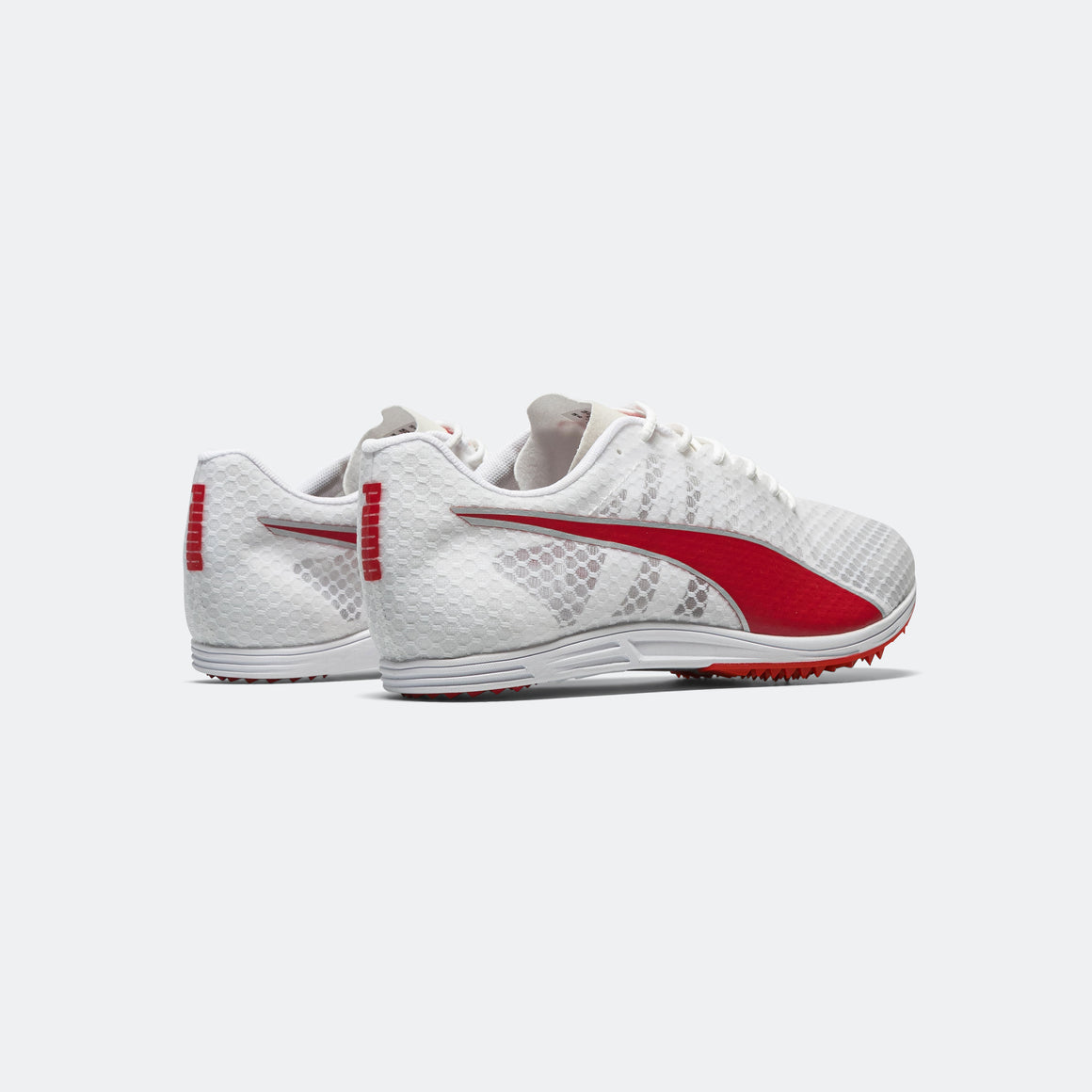 Puma - evoSPEED Distance 11 - White - Up There Athletics