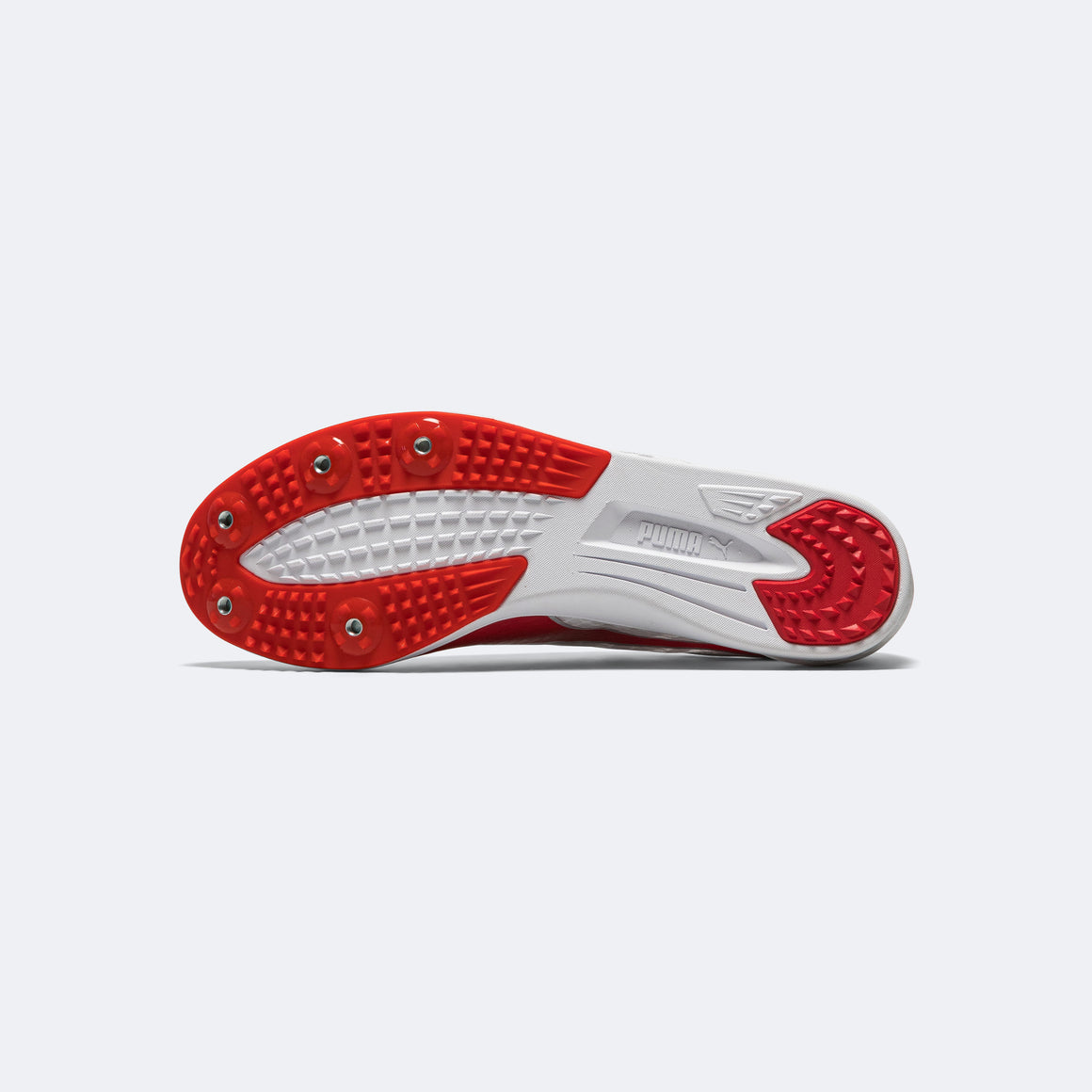 Puma - evoSPEED Distance 11 - White - Up There Athletics