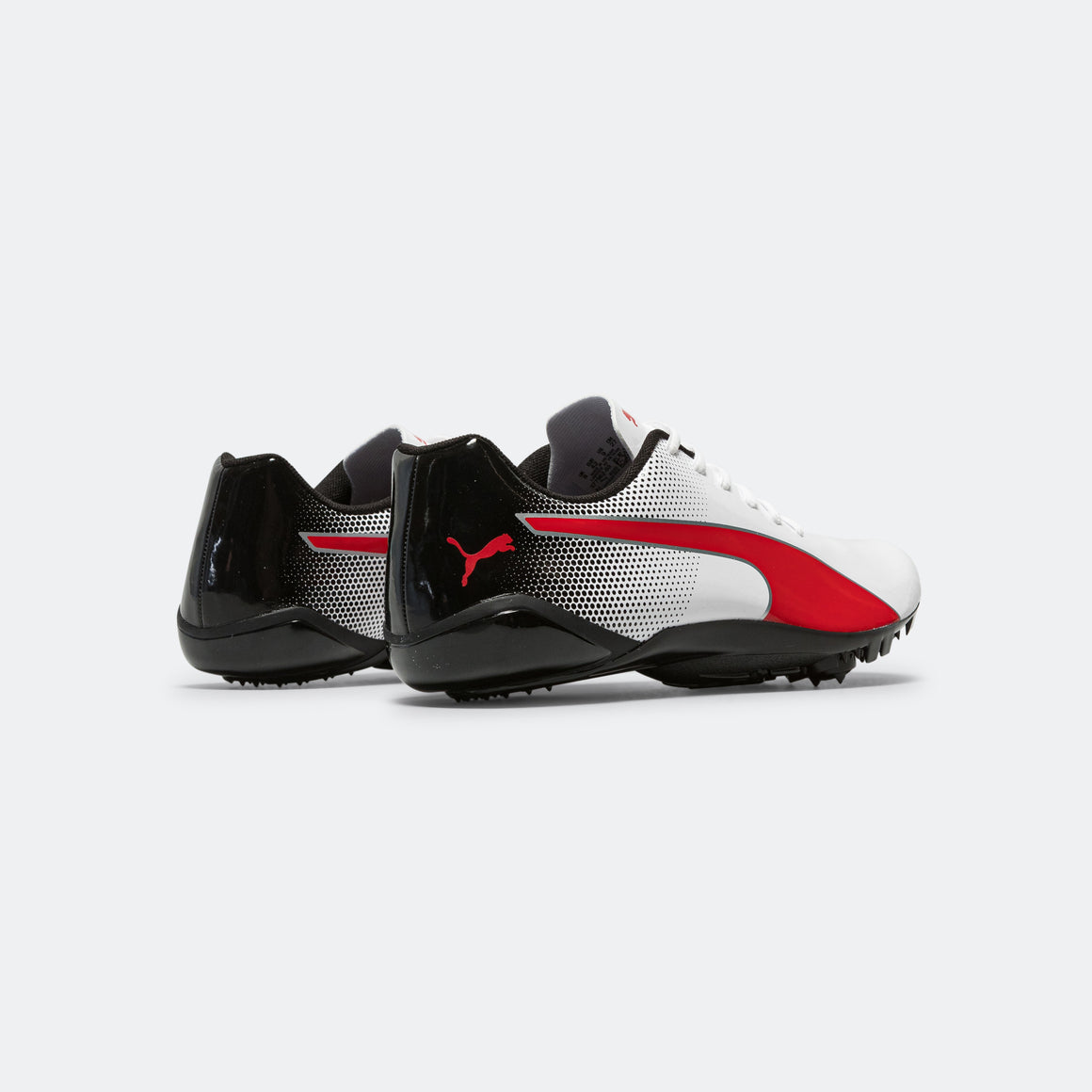 Puma - evoSPEED Prep Sprint 3 - White - Up There Athletics
