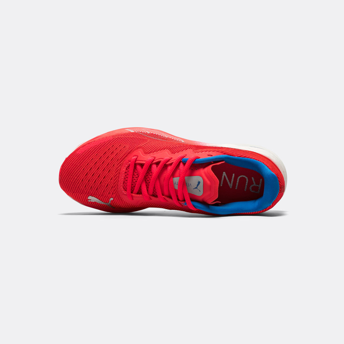 Puma - Womens Velocity Nitro 2 - Fire Orchid - Up There Athletics