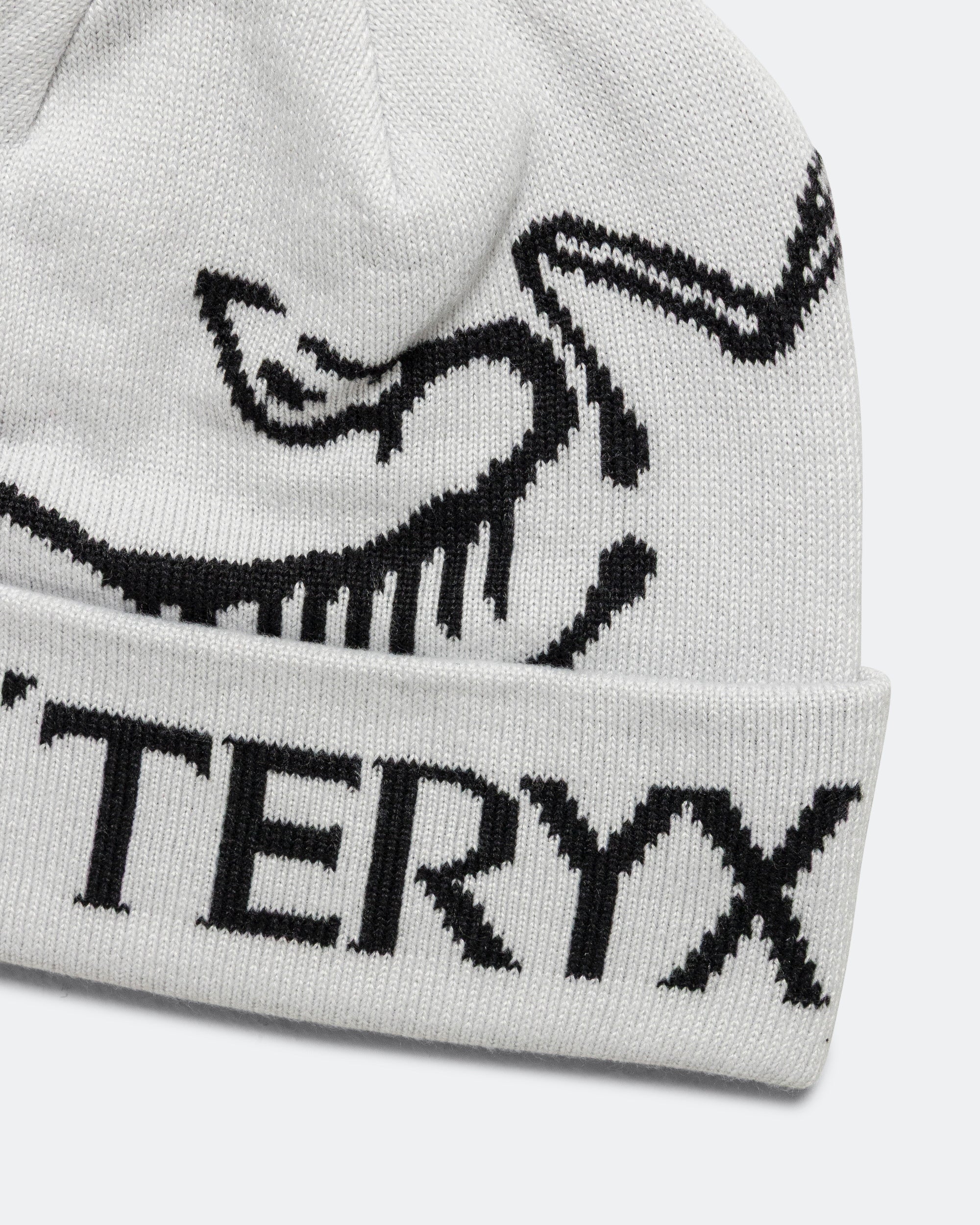 Arc'Teryx - Bird Word Toque - Orca | Up There Athletics