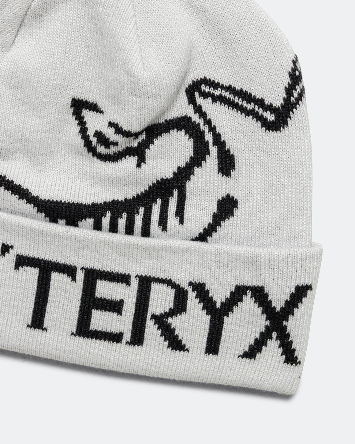 Arc'Teryx - Bird Word Toque - Orca - Up There Athletics