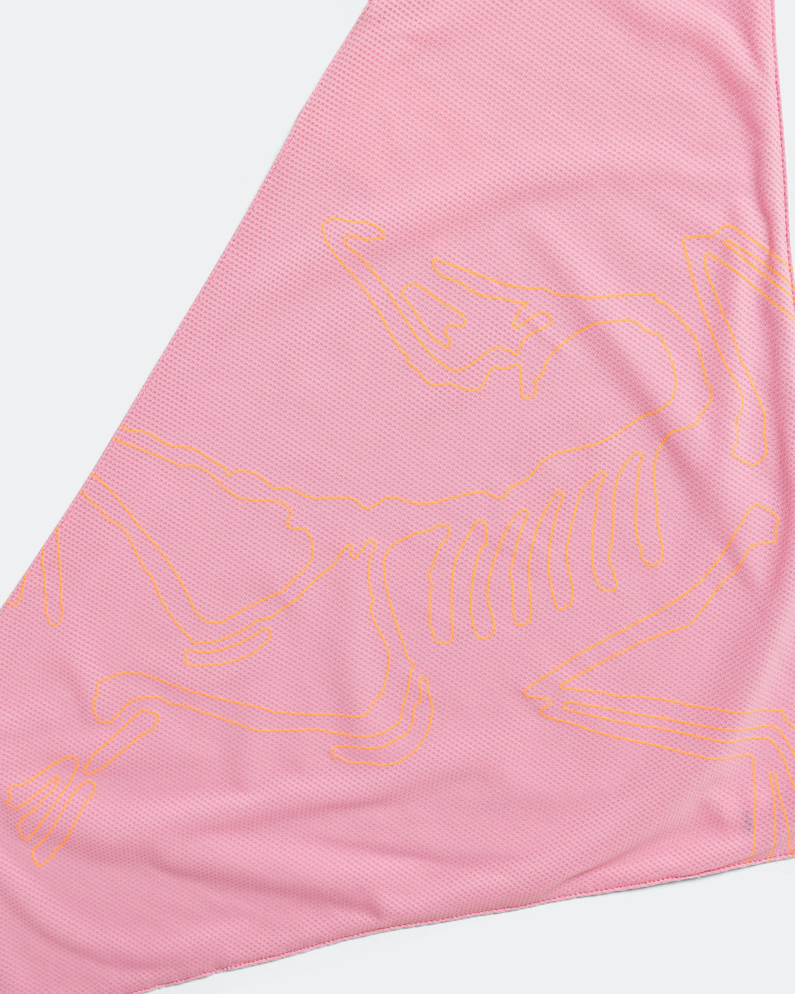 Arc'Teryx - Sinsolo Bandana - Pineberry - Up There Athletics