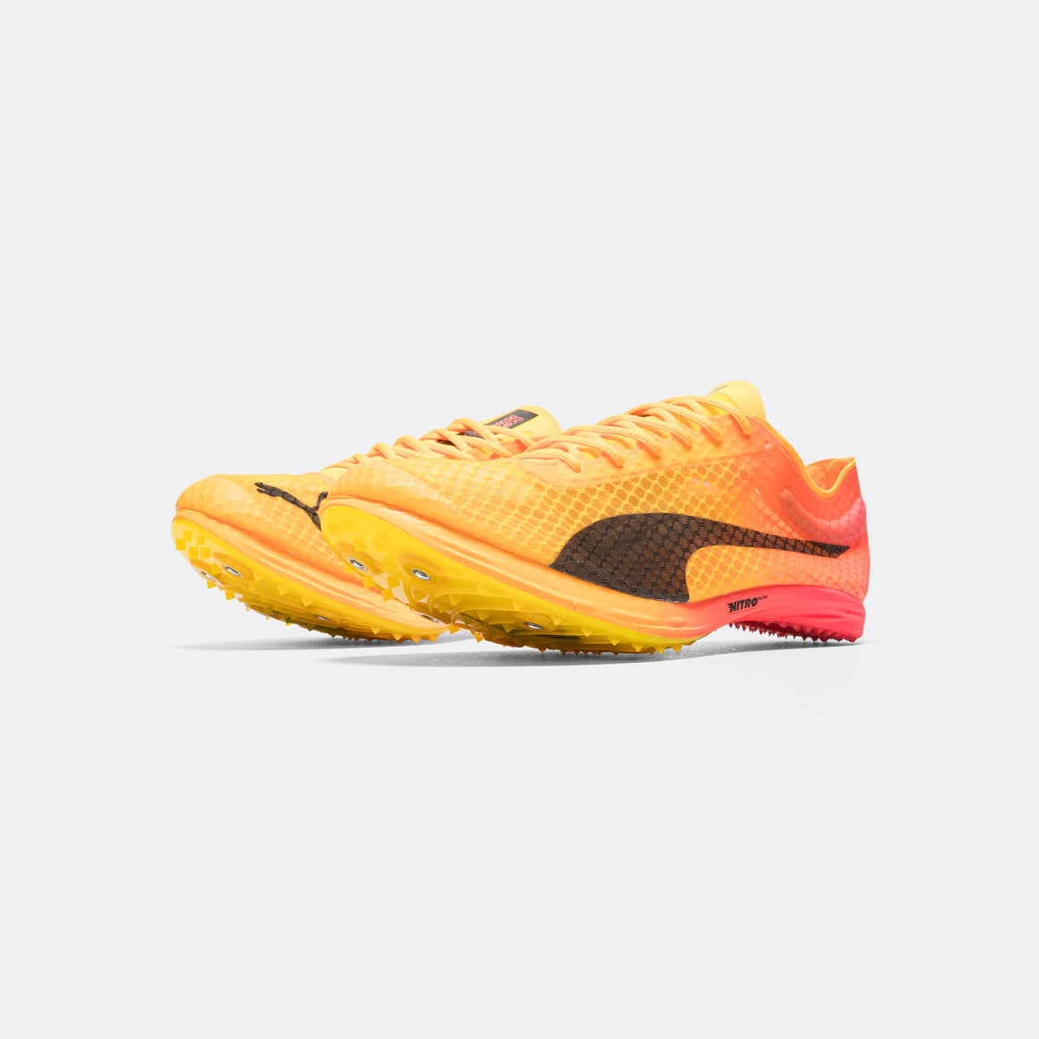 Puma - evoSPEED Distance NITRO Elite+ 4 - Sun Stream - Up There Athletics